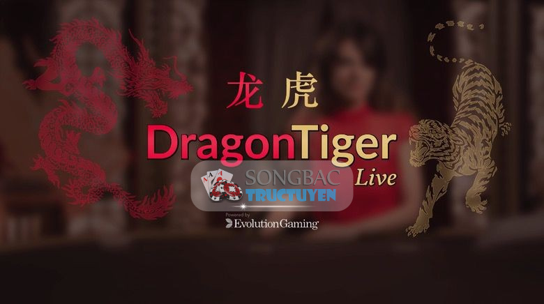 Cách chơi Rồng Hổ sòng bạc thắng đến 99%