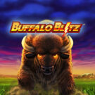 Buffalo Blitz