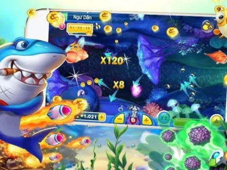 Cách Chọn Máy Bắn Cá Hiệu Quả – Bí Kíp Thắng Lớn Cho Người Mới